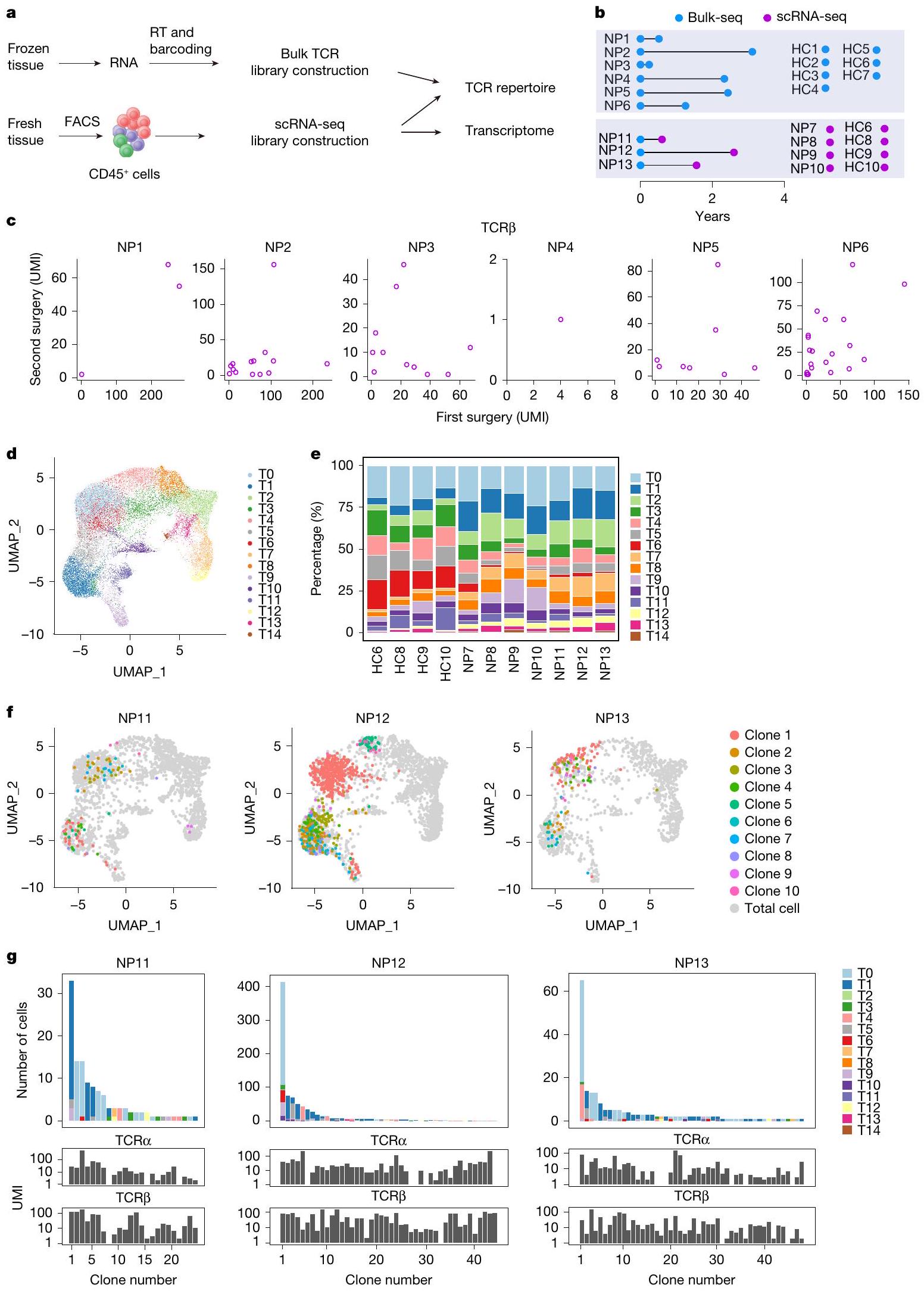 تساهم خلايا T CD8+ التي تعبر عن GZMK في تعزيز الأمراض الالتهابية المتكررة في مجرى الهواء GZMK-expressing CD8+ T cells promote recurrent airway inflammatory diseases
