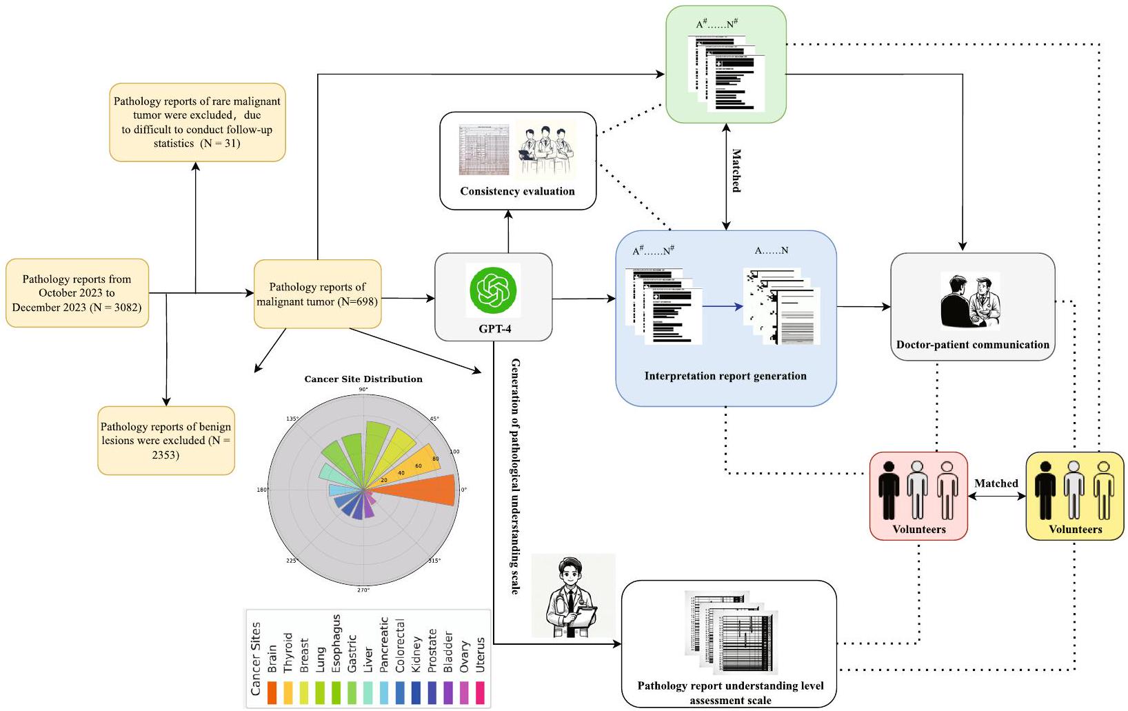 تعزيز التواصل بين الطبيب والمريض باستخدام نماذج اللغة الكبيرة لتفسير تقارير الأمراض Enhancing doctor-patient communication using large language models for pathology report interpretation