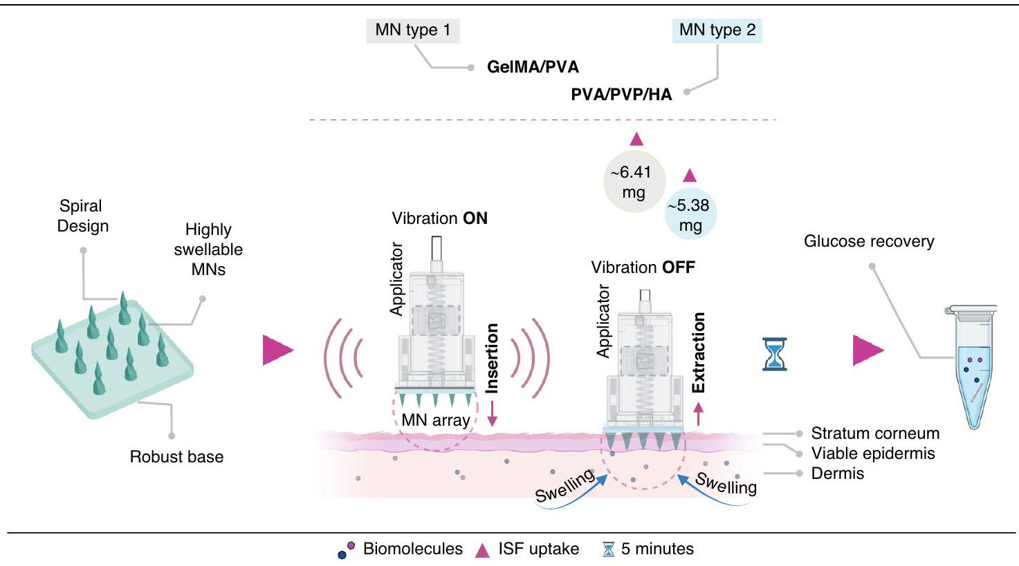 إبر ميكرونية حلزونية مزدوجة الطبقة مدعومة بالاهتزازات الدقيقة لاستخراج سائل الأنسجة الجلدية بسرعة للكشف عن الجلوكوز بطريقة minimally invasive Micro-vibration assisted dual-layer spiral microneedles to rapidly extract dermal interstitial fluid for minimally invasive detection of glucose