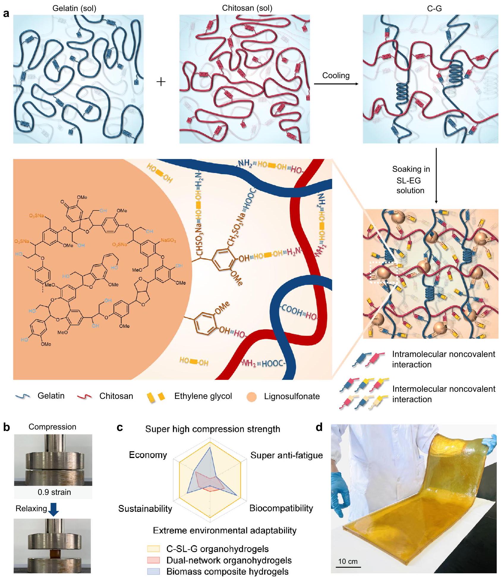 هيدروجيل عضوي فوق جزيئي قابل للضغط، مقاوم للإرهاق، قابل للتكيف مع البيئات القاسية، ومتوافق حيوياً، مدعوم بشبكة غير تساهمية مُفعلة بواسطة اللجنوسولفونات Compressible, anti-fatigue, extreme environment adaptable, and biocompatible supramolecular organohydrogel enabled by lignosulfonate triggered noncovalent network