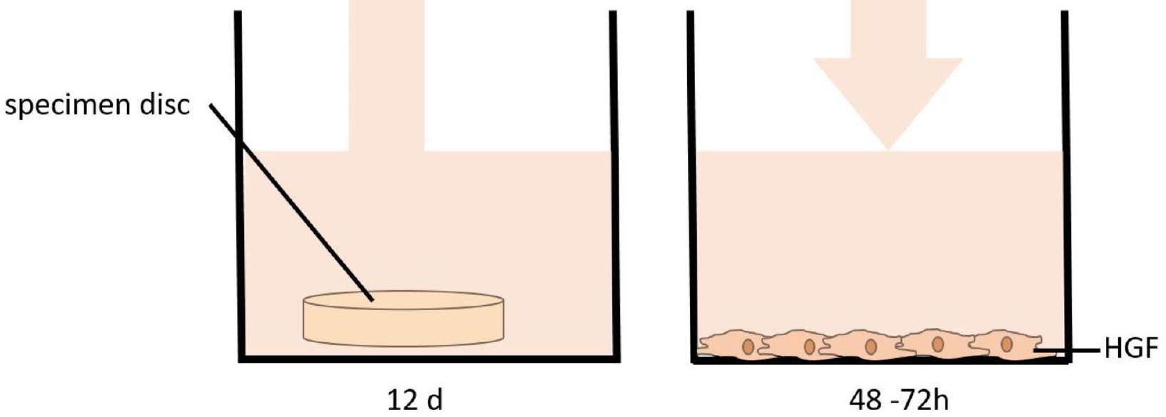 التوافق الحيوي لسمك متغير من جهاز تقويم الأسنان المطبوعة مباشرةً Biocompatibility of variable thicknesses of a novel directly printed aligner in orthodontics