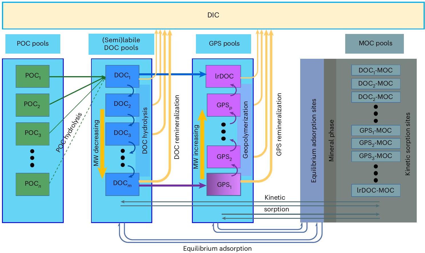 الحفاظ على الكربون العضوي في الرواسب البحرية المدعوم بعمليات الامتزاز والتحول Preservation of organic carbon in marine sediments sustained by sorption and transformation processes