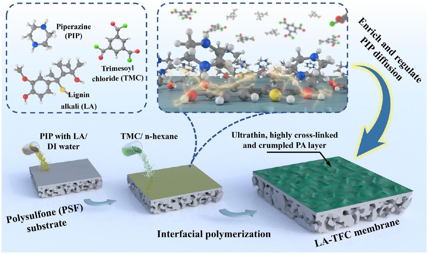 البلمرة الواجهة المنظمة بواسطة القلويات اللجنينية نحو غشاء نانوفلترة عالي الاختيارية ومرتفع النفاذية Lignin alkali regulated interfacial polymerization towards ultra-selective and highly permeable nanofiltration membrane
