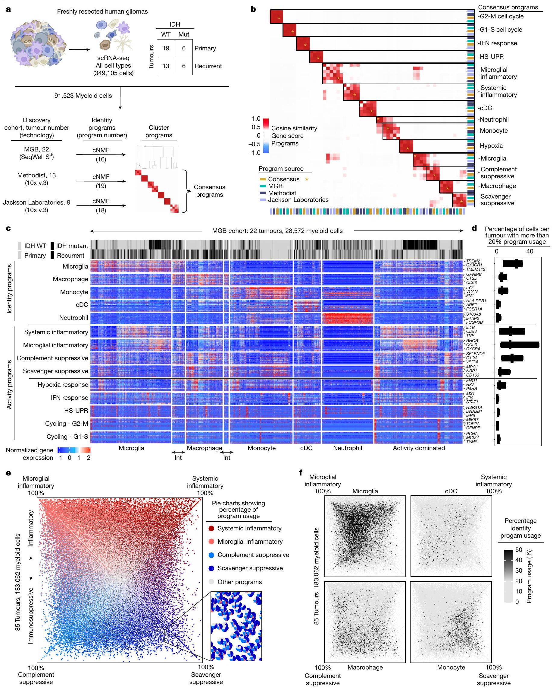 برامج وأصول ووظائف تعديل المناعة للخلايا النخاعية في الورم الدبقي Programs, origins and immunomodulatory functions of myeloid cells in glioma