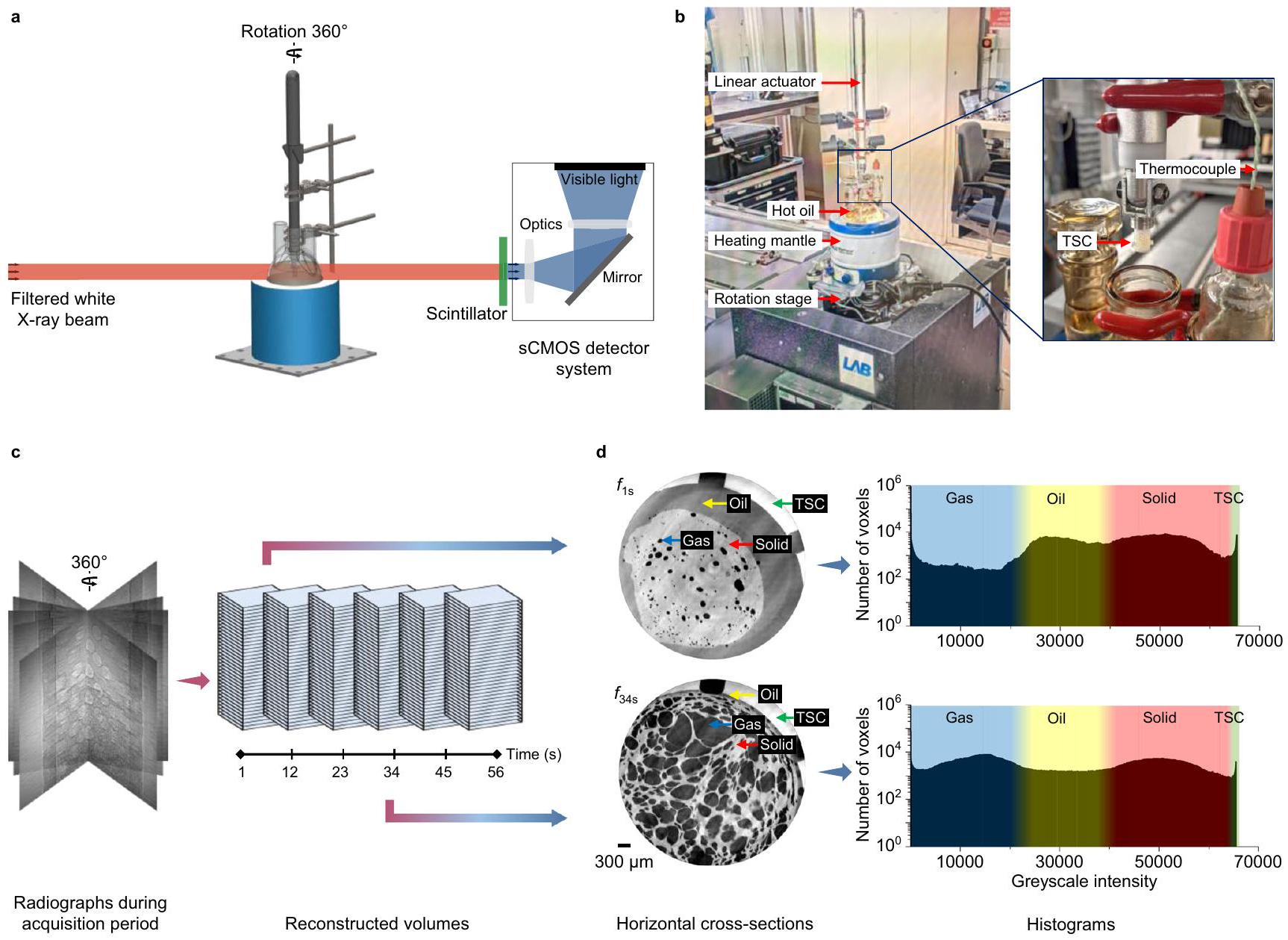 التصوير المقطعي المحوسب عالي السرعة لتصوير الديناميات الميكروهيكلية ثلاثية الأبعاد لامتصاص الزيت في الأطعمة المقلية عميقاً High-speed computed tomography to visualise the 3D microstructural dynamics of oil uptake in deep-fried foods
