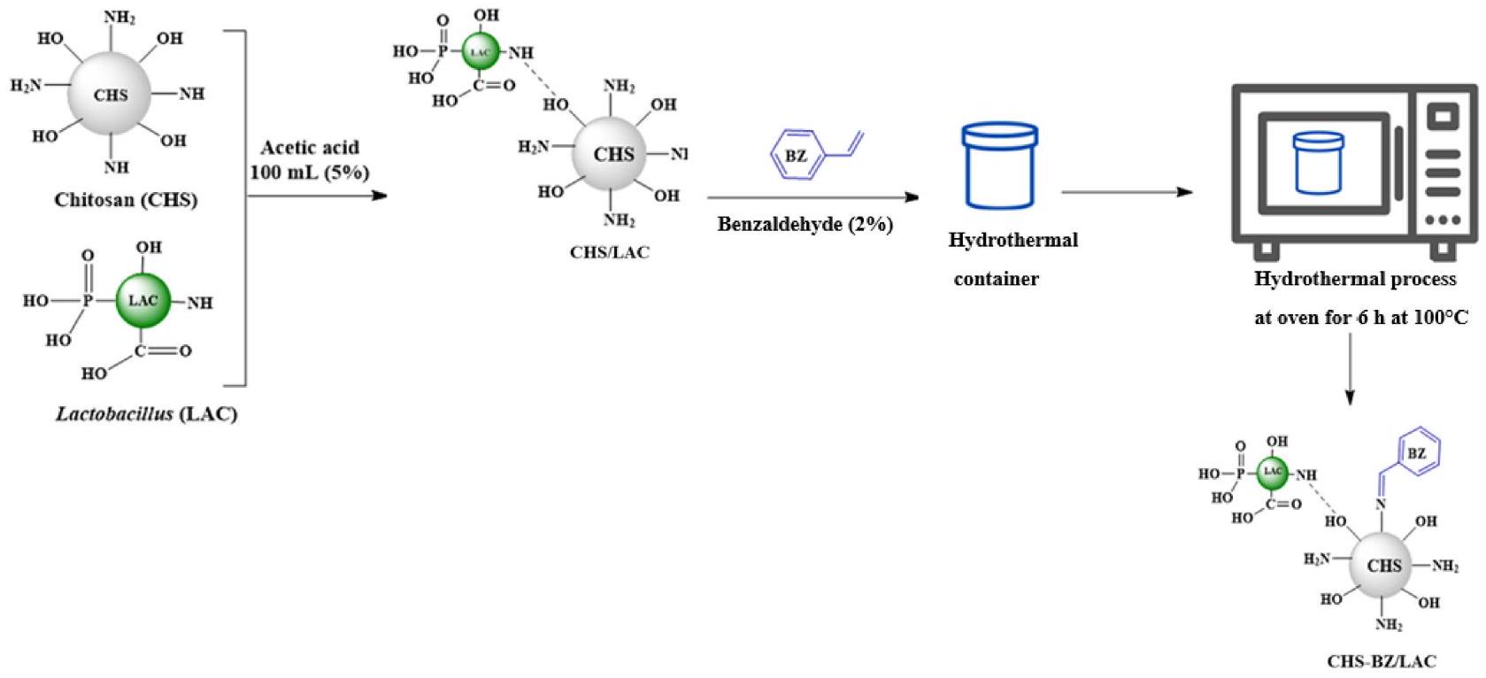 الماصّ الحيوي المركّب من الكيتوسان المطعَّم بالبنزالدهيد/بكتيريا Lactobacillus casei لإزالة صبغة الأحمر الحمضي 88: تحسين تصميم Box–Behnken ونهج دراسة الآلية Biocomposite Adsorbent of Grafted Chitosan-benzaldehyde/<i>Lactobacillus Casei</i> Bacteria for Removal of Acid Red 88 Dye: Box-Benken Design Optimization and Mechanism Approach