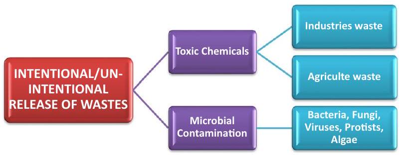 أثر تلوث المياه على الأمراض المنقولة بالمياه: التركيز على التلوث الميكروبي والمخاطر الصحية المرتبطة بالبشر Impact of Water Pollution on Waterborne Infections: Emphasizing Microbial Contamination and Associated Health Hazards in Humans