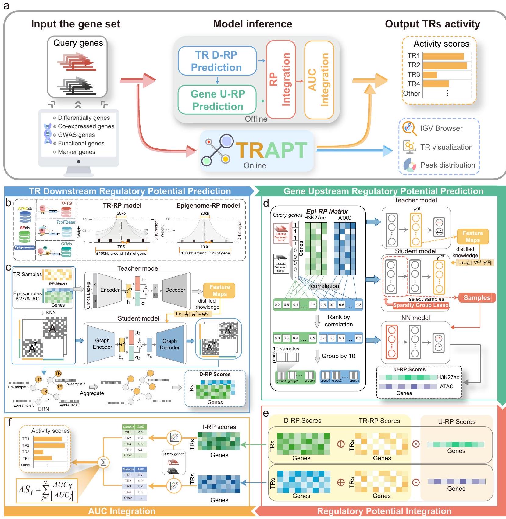 TRAPT: إطار عمل عميق متعدد المراحل للتعلم المدمج لتوقع المنظمات النسخية استنادًا إلى بيانات الإبيجينوم الواسعة النطاق TRAPT: a multi-stage fused deep learning framework for predicting transcriptional regulators based on large-scale epigenomic data