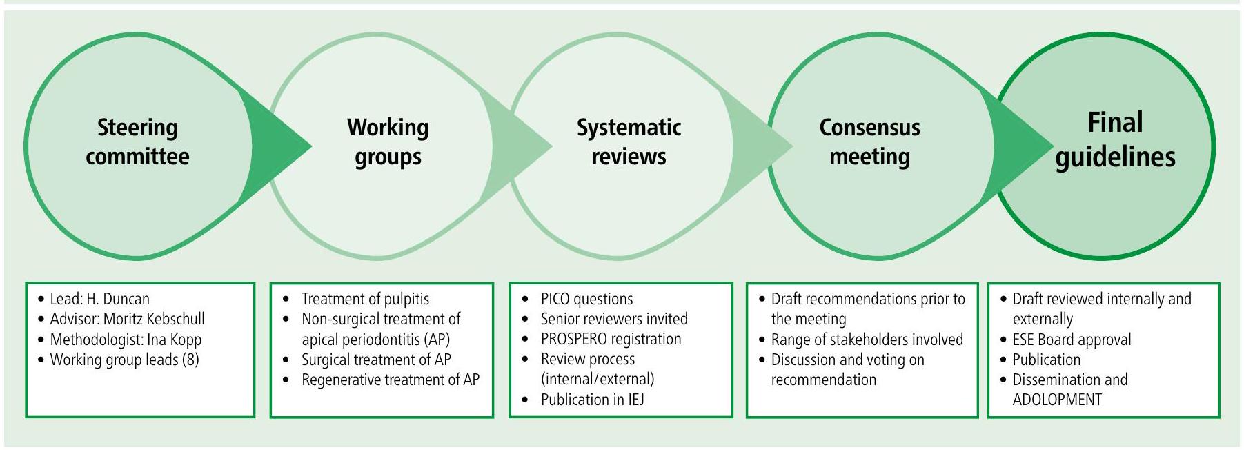 إرشادات الممارسة السريرية من المستوى S3 في طب الأسنان الداخلي: عملية وتوصيات الجمعية الأوروبية لطب الأسنان الداخلي Endodontic S3-level clinical practice guidelines: the European Society of Endodontology process and recommendations