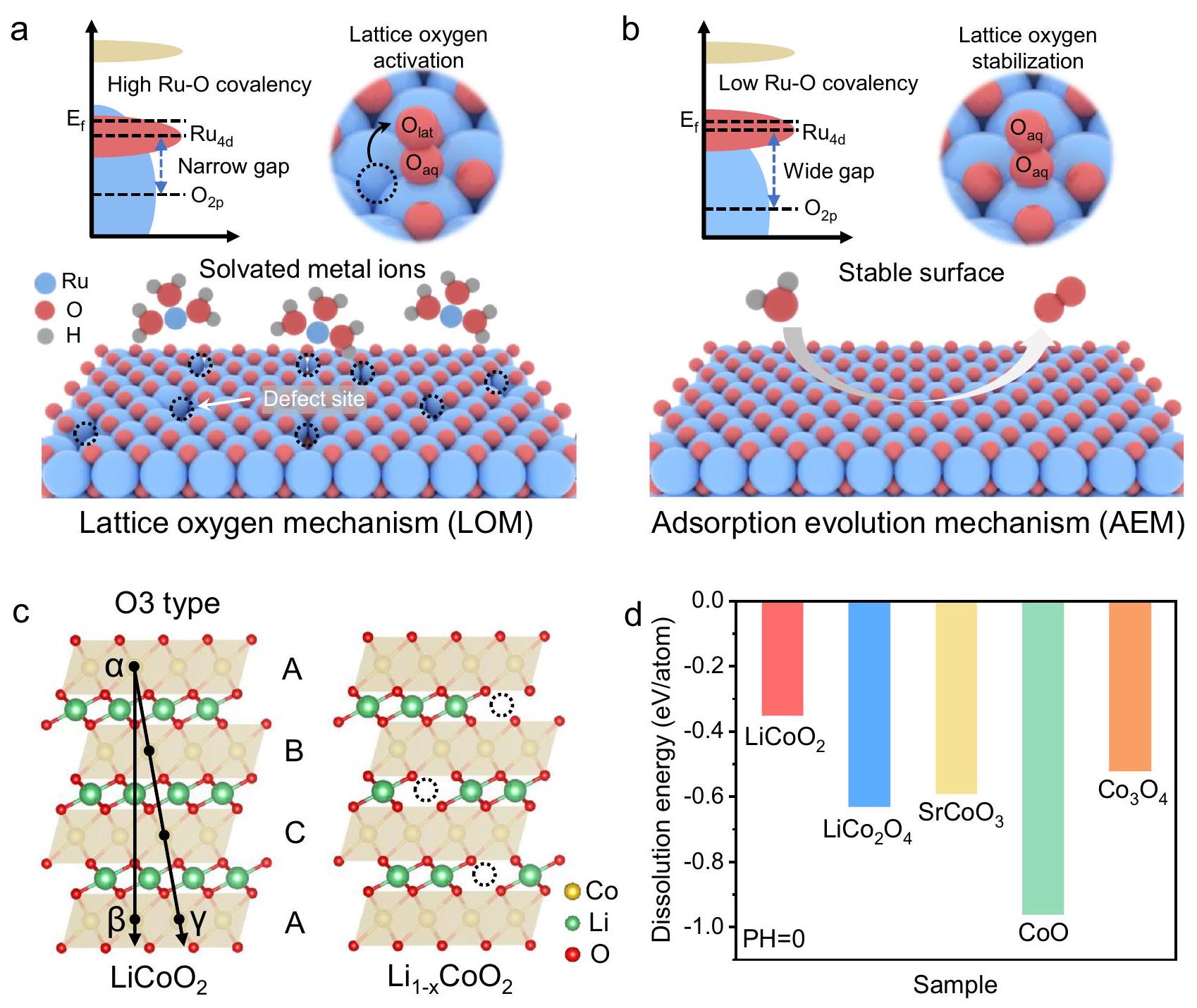 تعديل تساهمية روابط Ru-O من خلال إعادة البناء الديناميكي لتحقيق كفاءة عالية في تطور الأكسجين الحمضي Modulating the covalency of Ru-O bonds by dynamic reconstruction for efficient acidic oxygen evolution