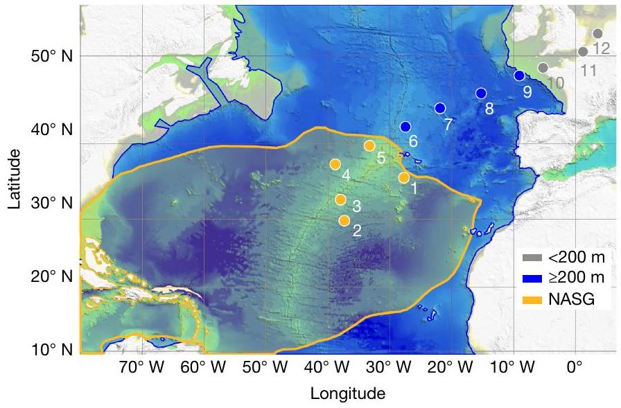 تركيزات النانو بلاستيك عبر شمال الأطلسي Nanoplastic concentrations across the North Atlantic