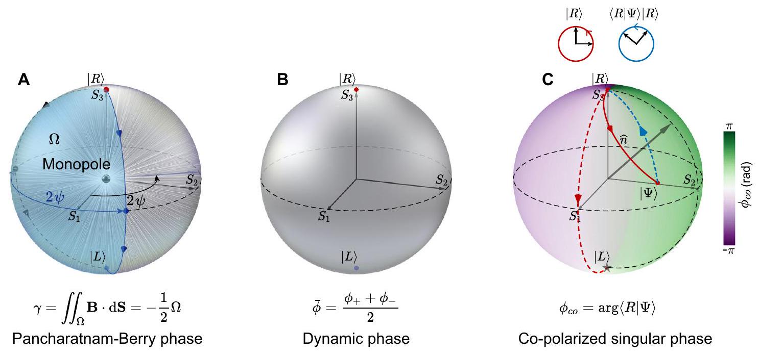استغلال التفرد المخفي على سطح كرة بوانكاريه Exploiting hidden singularity on the surface of the Poincaré sphere