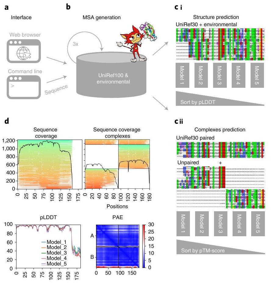 ColabFold: making protein folding accessible to all